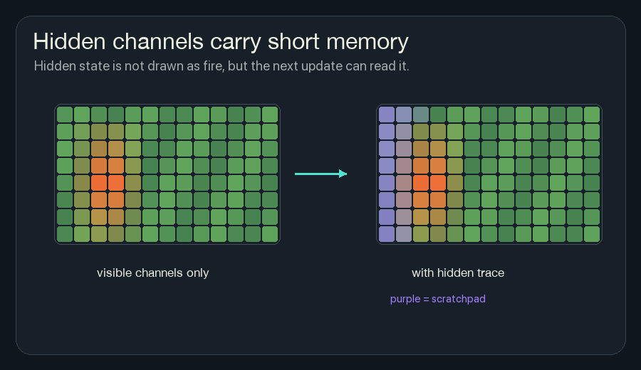 Animated side-by-side grids showing visible heat without hidden trace and a version with purple hidden memory behind the heat front.